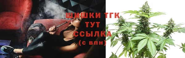 мяу мяу мука Аркадак