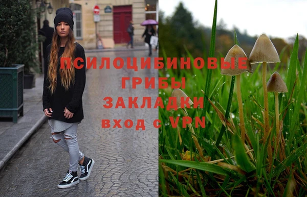 гашик Армянск