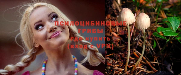 ПСИЛОЦИБИНОВЫЕ ГРИБЫ Алексин